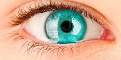 Síndrome do olho seco associada à climatização artificial