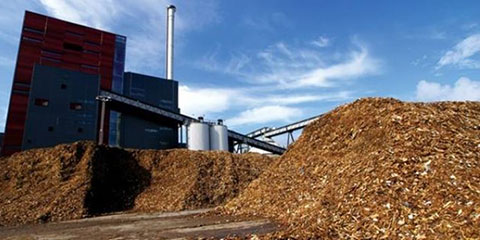 Biomassa pode ser fonte de energia renovável no aquecimento de ambientes