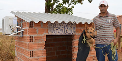 Casinha de cachorro com ar-condicionado em Tocantins, viraliza nas redes sociais